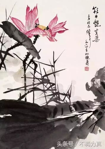 出尘离染,清洁无暇,100幅名家画荷作品欣赏_荷花