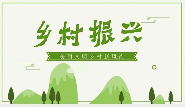 清华大学2021年mpa双证-乡村振兴方向招生通知
