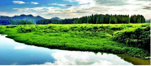 俄罗斯人们感到自豪的城市,蕴藏着望不到边的原始森林