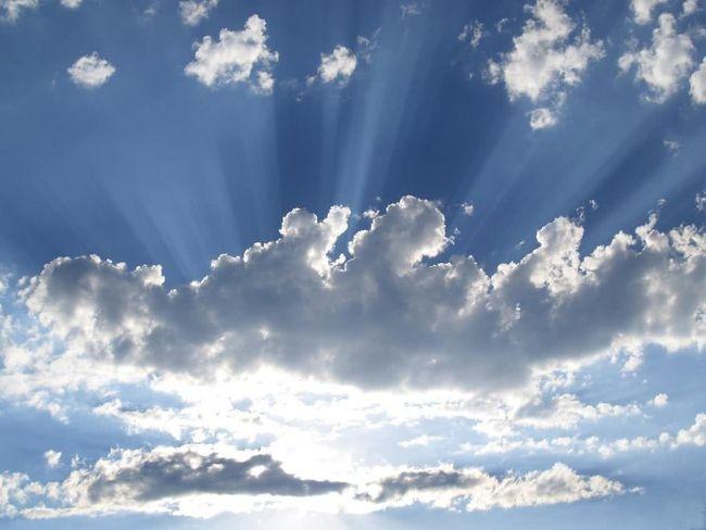 读睡诗歌 风用翅膀,把云扇成各种形状