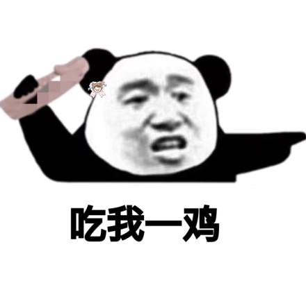 吃我—鸡 - 熊猫猫污污内涵表情包_污_内涵表情