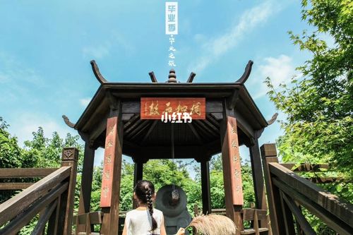 杭州半山皋亭山-清风谷-体会帐篷72住宿_帐篷_半山自由行热门攻略