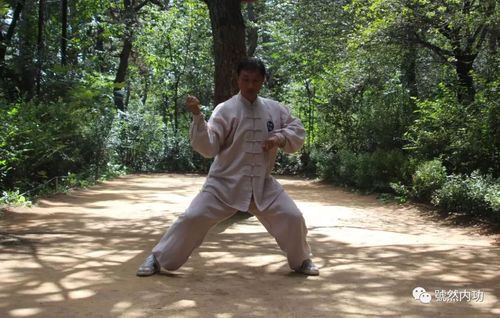 号然内功让你知道什么是爆发力,整劲儿和寸劲儿!