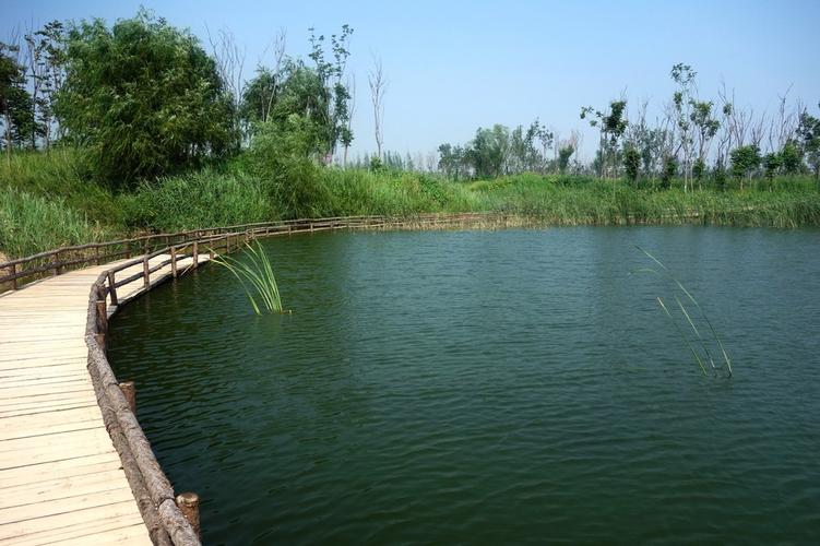 西安浐灞湿地公园