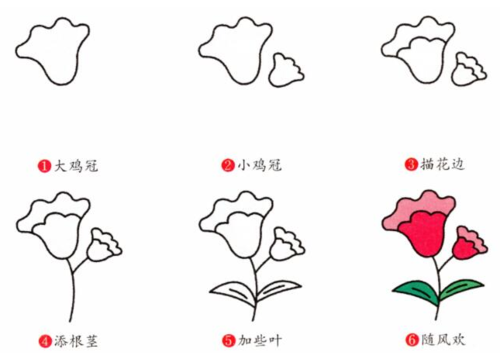 鸡冠花怎么画简笔画图解步骤 什么是简笔画