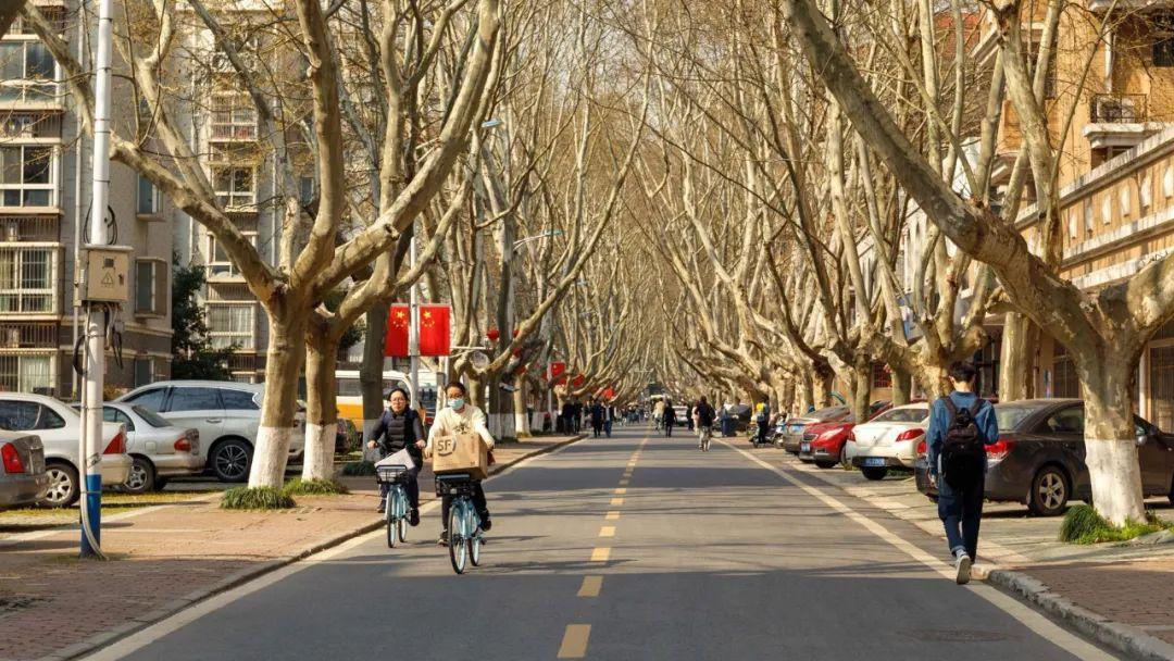 再走一次吧那条三号路