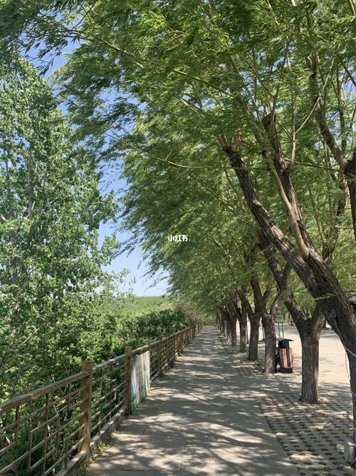 临城绿岭核桃小镇_核桃_出行_人文风光展示