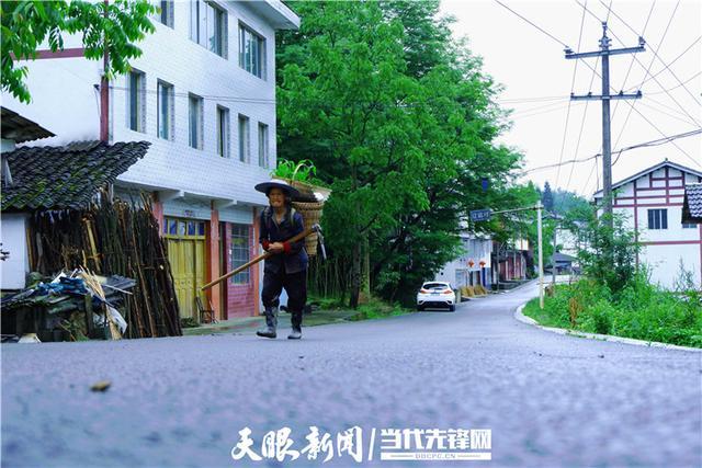 正安县乐俭镇:轻纱薄雾入画来