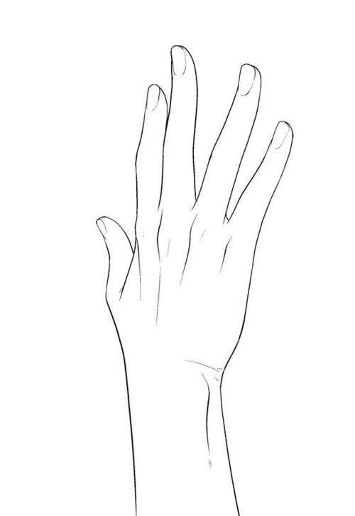 【奥拉手绘】绘画基本功教材※手部的画法_奥拉手绘吧