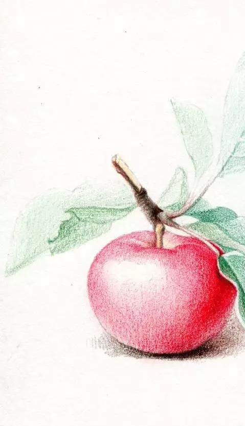 既简单又好看的彩铅画|彩铅画教程一步一步图解(附彩铅画全套视频教程