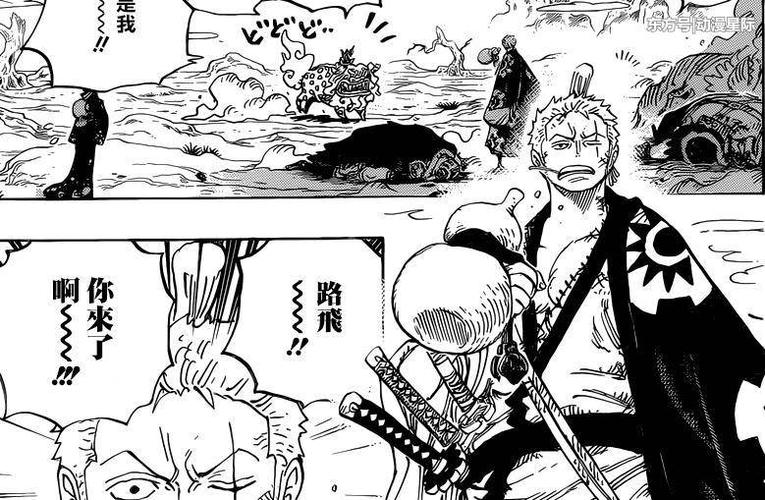 海贼王和之国篇:抗毒能力最强的四位人物,索隆路飞包揽前二!