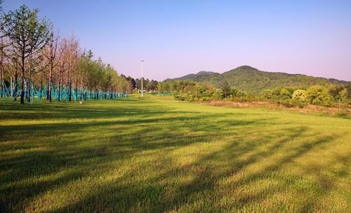 2019年4月〖 郊区的观鸟公园