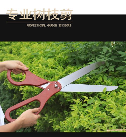 超大剪刀园艺园林工具树枝树叶修枝剪刀展示剪刀绿化厂家直销批发