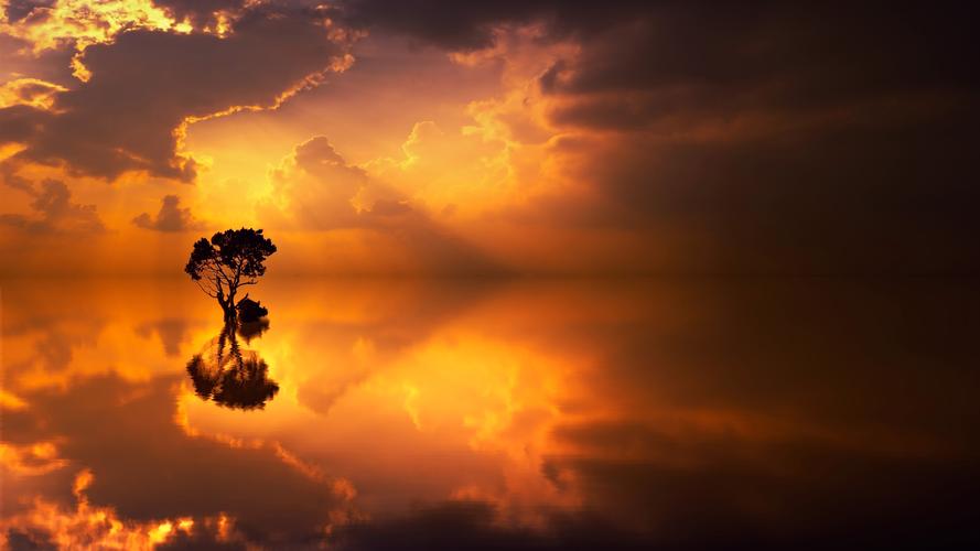 湖,孤独的树木,水中的倒影,日落 4k