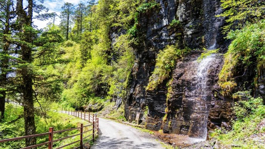 避暑指南 | 王岗坪景区"夏日森系"来袭