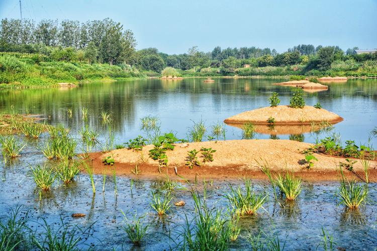 走进龙湾湿地公园