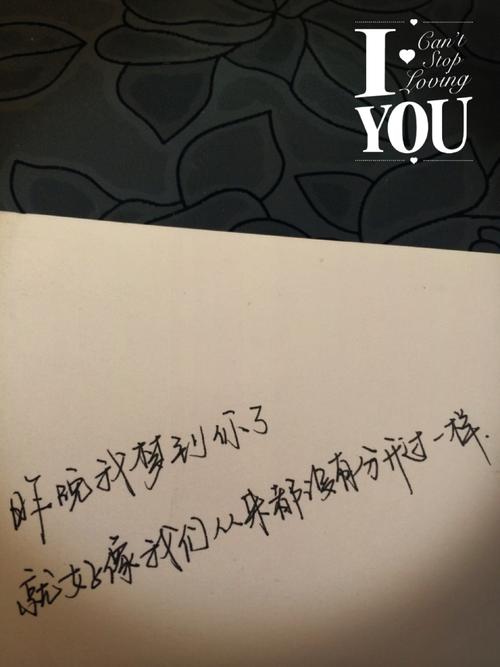 昨晚梦到你了,就像我们从未分开一样.