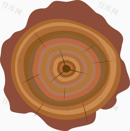 年轮 树桩  树桩年轮  树龄  树皮 手绘年轮