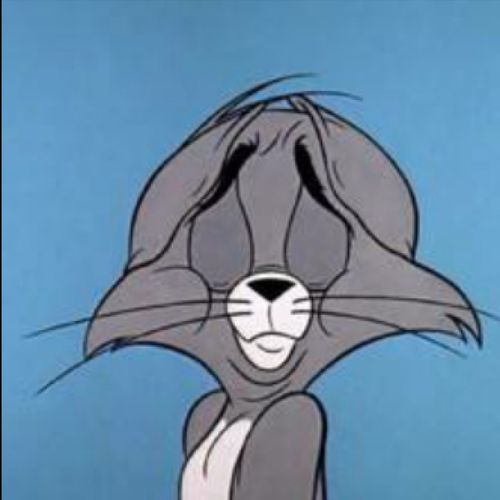 汤姆猫可爱头像表情包