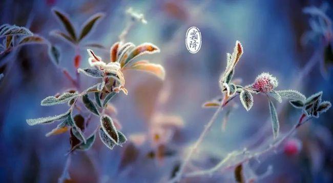 霜降这些常识你一定要知道