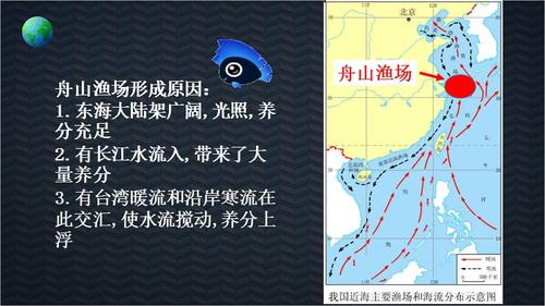 舟山渔场的形成原因.ppt