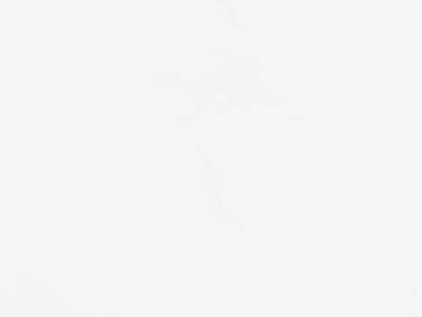 首页 女性 全屏纯白色壁纸