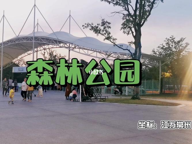 常州森林公园打卡_森林_新龙国家生态森林公园自由行热门攻略_亲子游