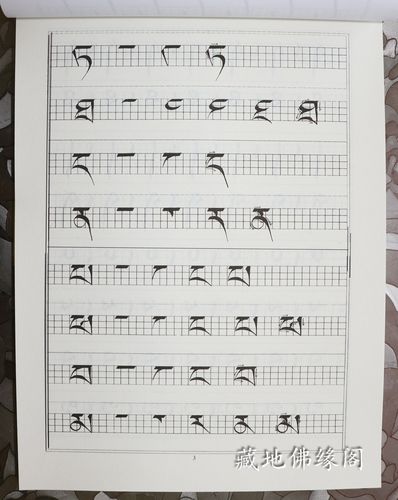 金刚般若波罗蜜经全文 连笔行书钢笔字帖硬笔书法字帖佛教经文字帖