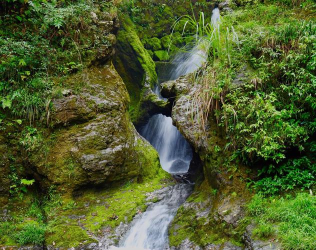 安徽黄山黟县打鼓岭风景区,给去的人感觉清新凉爽舒适
