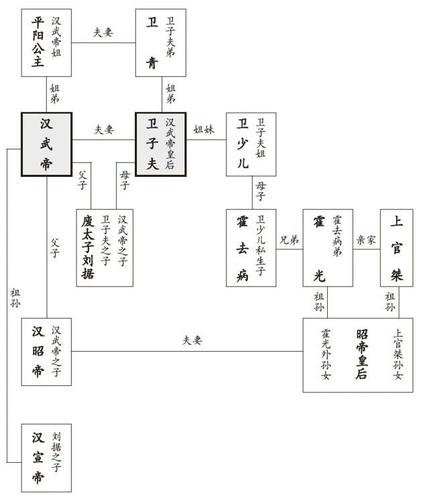 武,昭,宣三朝外戚关系图