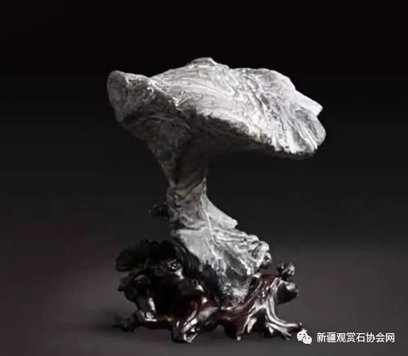 没错,它们都是长成了灵芝形的石头或变为化石的灵芝.