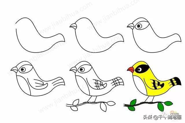 黄鹂简笔画步骤