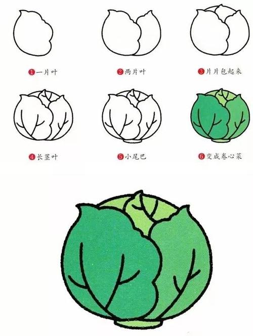 简笔画教程各种蔬菜简笔画