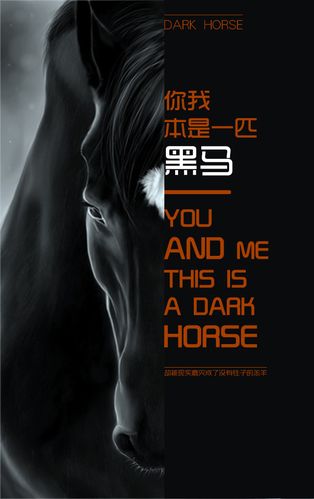 由此一匹黑骏马 从他的眼神中我看到了年少