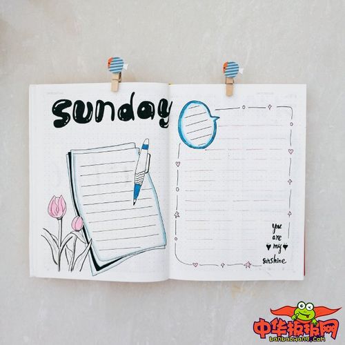 小清新手抄报版面设计图一周手抄报排版