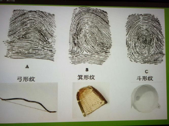通过动手操作,观察,小朋友们知道,指纹有3种基本类型——斗形纹