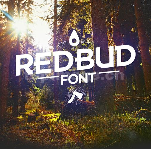 redbud简约个性艺术英文字体下载