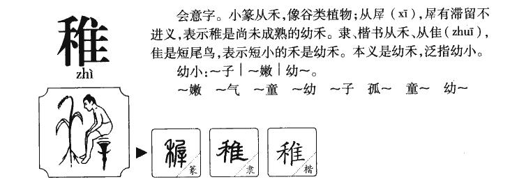 稚的意思