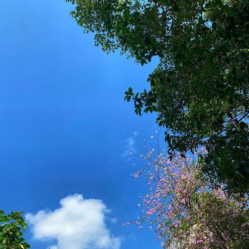 离开在一个风和日丽的下午