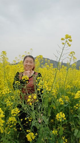 崇州万亩油菜花基地和大邑县十里桃花