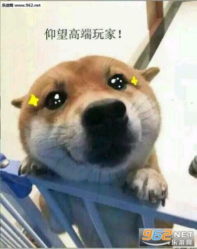 仰望大佬表情包