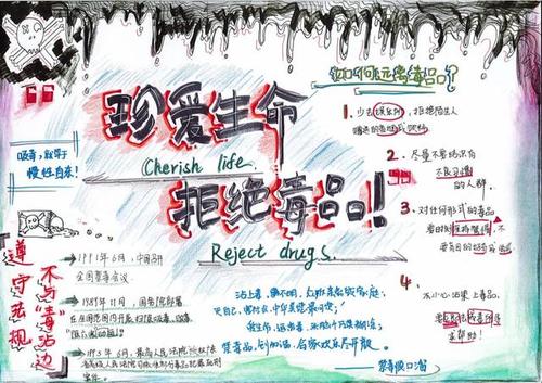 6·26国际禁毒日|新雅街禁毒手抄报大赛作品出来啦,快来pick上你心仪