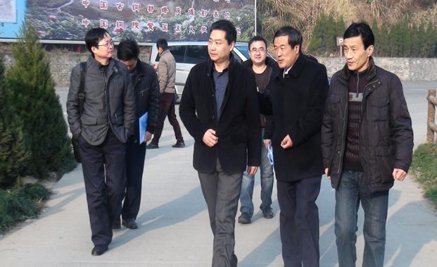 县委常委,常务副县长汪继宏实地查看景区整治工作开展情况