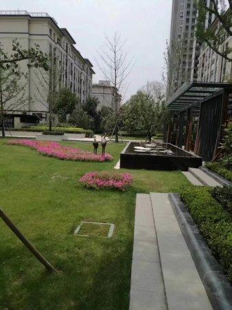 首付11万买双地铁口,索须河畔,和昌林与城双气小高层洋房