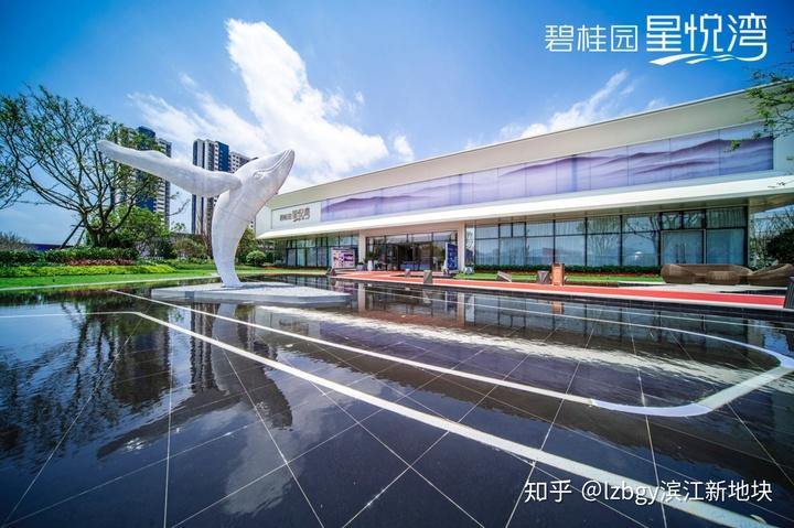 柳州碧桂园星悦湾一线江景精装学府网红楼盘二期即将加推