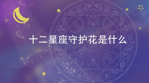 十二星座守护花是什么