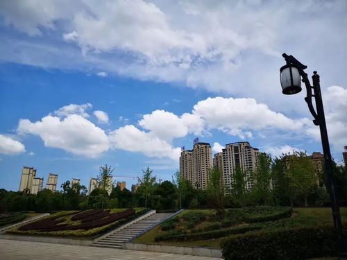 满天的白云 地址:文化公园 摄影:海的声音 地址:齐星花园 摄影:随州网