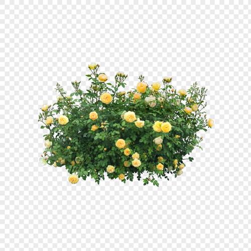 花丛元素素材png格式_设计素材免费下载_vrf高清图片