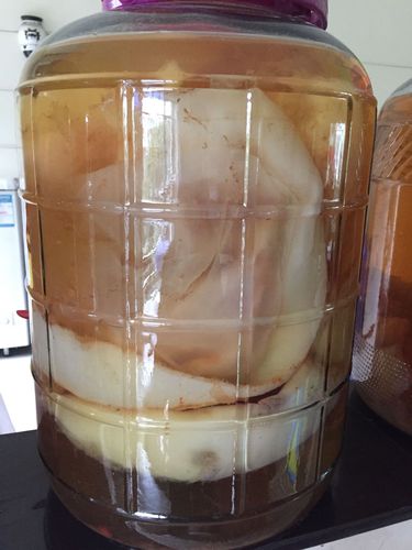 这种品相的肉灵芝值多少钱.