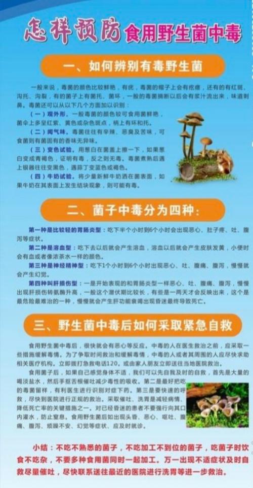 文山小精灵幼儿园预防野生菌中毒安全教育宣传